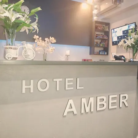 住宿加早餐酒店 & Restauracja Amber 3*