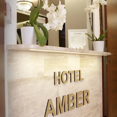 住宿加早餐酒店 & Restauracja Amber