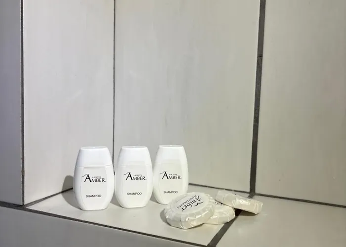 & Restauracja Amber Panzió 3*