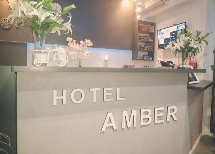 Bed & Breakfast Hotel Amber 3*